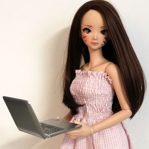 May include: A doll with long brown hair wearing a pink and white gingham dress, holding a silver laptop computer.