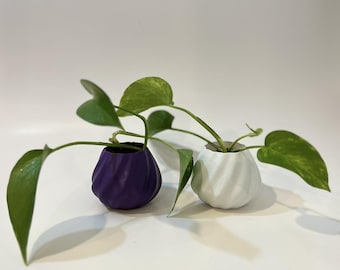 Plant Pot - You can decorate