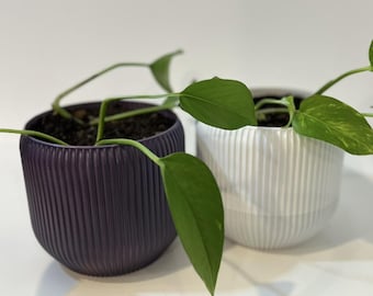 Decorate your own plant pot with drainage