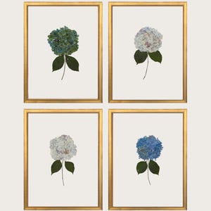 Pressed Hydrangea Wall Art Prints - Digital Downloads - Set of 4 Grandmillenial Chinoiserie Art - Preppy Home Decor Wall Art