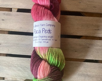 Frog and Piggy - Paca Peds Hand-dyed Sock Yarn