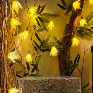 Pode incluir: Um fio de luzes LED com coberturas translúcidas em forma de flor de cor amarelo-pálido. As luzes estão dispostas num padrão em cascata e emitem um brilho quente. Um bloco acrílico retangular, transparente e texturado, situa-se em primeiro plano.