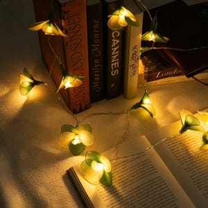 Puede incluir: Una guirnalda de luces decorativas con pantallas translúcidas en forma de flor en tonos amarillos y verdes. Las luces emiten un brillo cálido que ilumina el área circundante y se extienden sobre un libro abierto y varios libros verticales.