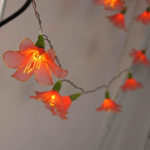 Op de afbeelding: Een lichtsnoer met decoratieve, doorschijnende koraal-oranje bloemvormige kapjes. Elke bloem heeft vijf delicate bloemblaadjes met goudkleurige randen, een groene basis en een warm, gloeiend centrum. De lampjes zijn verbonden door een dunne draad.