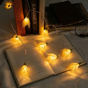 May include: A string of LED fairy lights featuring translucent, pale yellow flower-shaped covers. The lights are draped over an open book and several stacked books with visible spines, casting a warm, soft glow across the pages and surfaces.