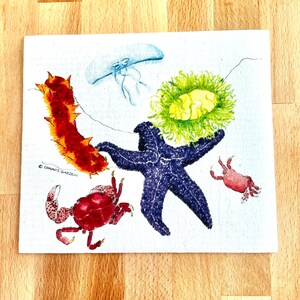 Tidepool Life, Coastal Swedish Dishcloth