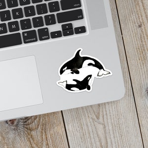 Orca vinyl sticker