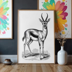 Peut inclure: Illustration encadrée en noir et blanc d'une gazelle. La gazelle est représentée dans un style vintage détaillé, avec de longues pattes et des cornes incurvées. L'œuvre est exposée sur un sol en bois, avec d'autres œuvres encadrées et un vase en arrière-plan.