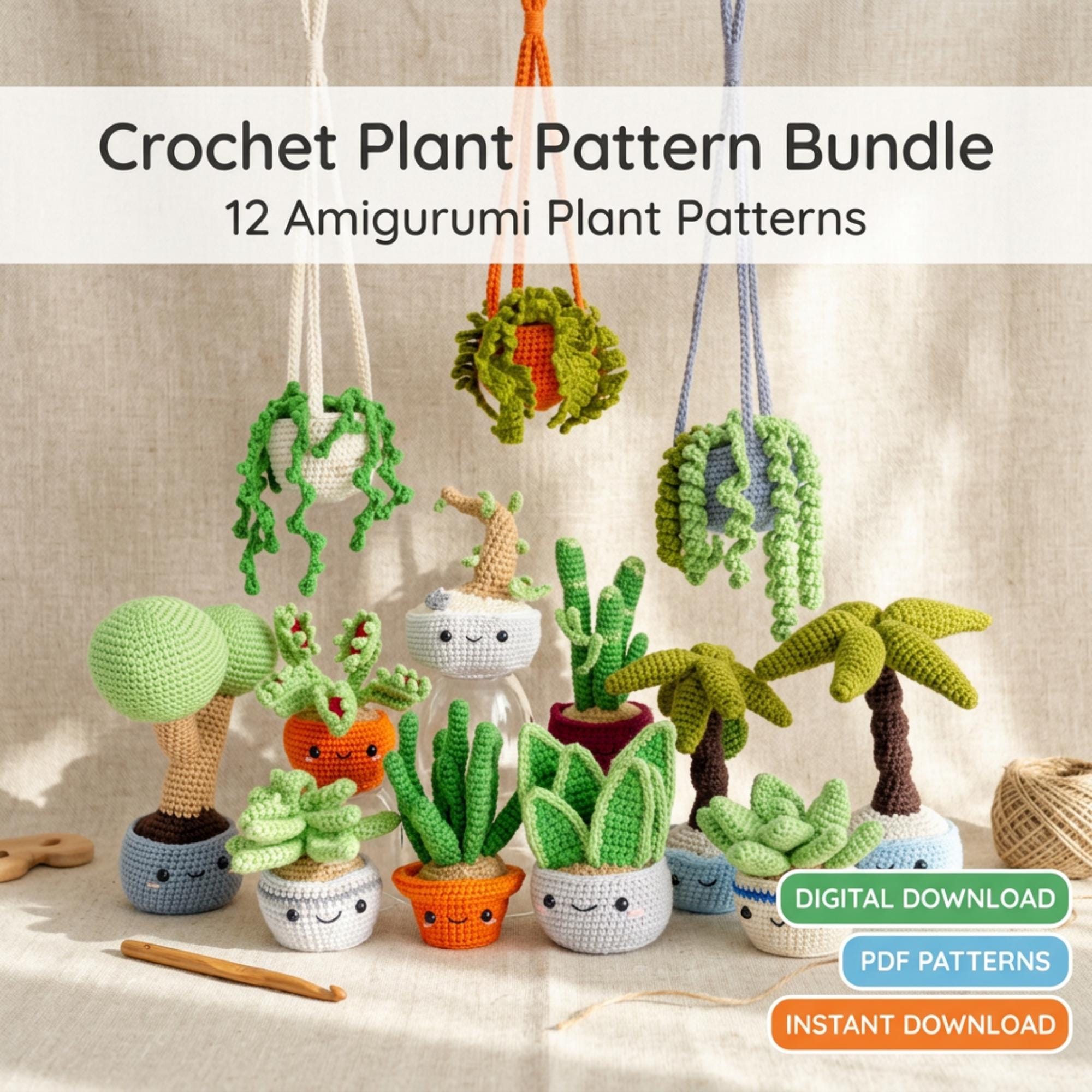 Set di 4 Cactus in Vaso Terracotta - Pianta Succulenta