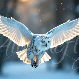 Snowy Owl in Flight Wall Art | Winter Wildlife Photography Print | Majestic Owl Decor | Nature Animal Lover Gift | Arctic Bird Poster | PNG