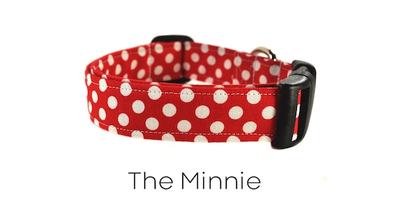 polka dot dog leash