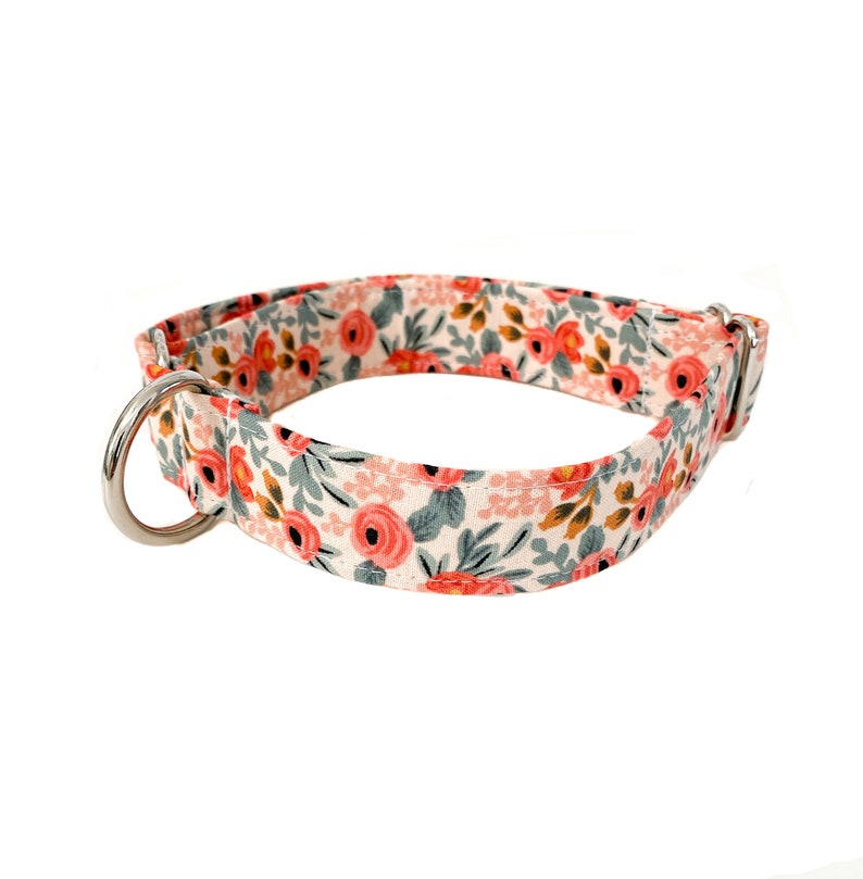 Peut inclure: Un collier de chien blanc avec un motif floral compos&eacute; de fleurs roses et orange et de feuilles vertes. Le collier a un anneau en D en m&eacute;tal argent&eacute;.