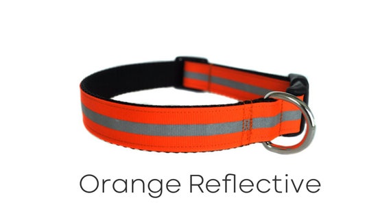 orange reflective dog collar