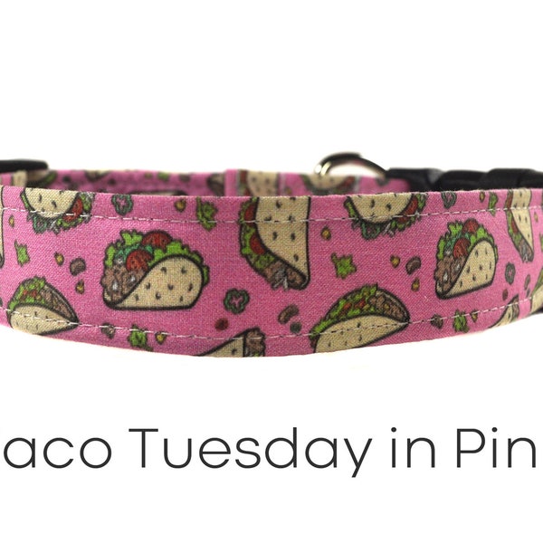 Taco in Pink Dog Collar