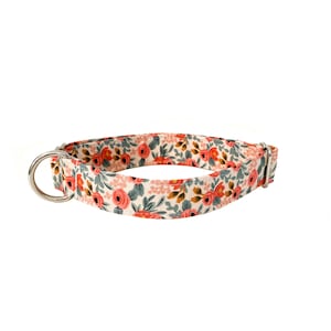 Peut inclure: Un collier de chien blanc avec un motif floral compos&eacute; de fleurs roses et orange sur fond blanc. Le collier a un anneau en D en m&eacute;tal argent&eacute;.