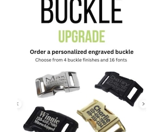 Personalized Laser Engraved Dog Buckle