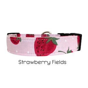 Strawberry Fields Dog Collar / Pink and Red Summer Dog Collar / Fruit Collar
