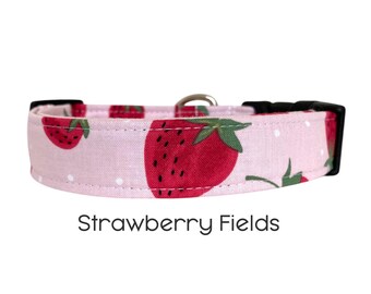 Strawberry Fields Dog Collar / Pink and Red Summer Dog Collar / Fruit Collar