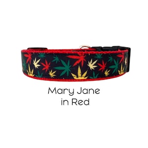 May include: A black dog collar with a red border and a pattern of green, yellow, and red marijuana leaves. The text "Mary Jane in Red" is printed below the collar.
