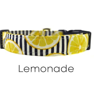 Novelty Dog Collar - The Lemonade