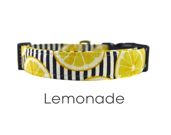 Novelty Dog Collar - The Lemonade