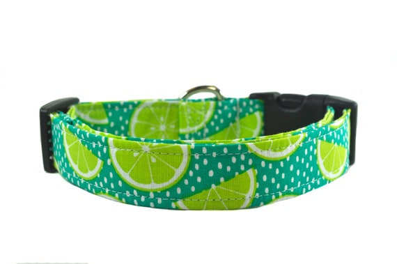 Green Citrus Dog Collar the Limes Novelty Dog Collar Gift for Dog Lovers Etsy