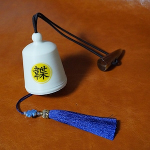 Manchu style thumbring case
