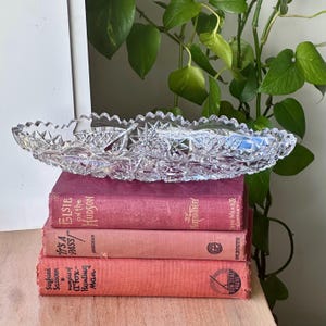Puede incluir: Una fuente de cristal tallado transparente con borde festoneado, apoyada sobre una pila de libros antiguos con cubiertas rojas y rosas. El plato tiene un patrón de estrella y diamante. El follaje verde está en el fondo.