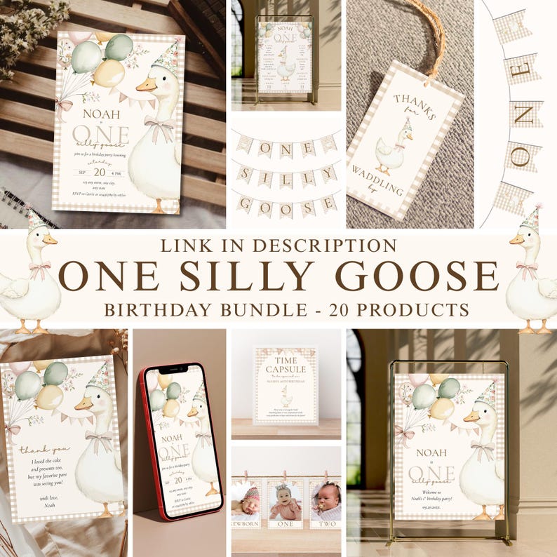 May include: A collection of party supplies with a "One Silly Goose" theme. Includes invitations, banners, tags, and signs featuring a cartoon goose with a party hat and balloons. The text includes "Noah" and "20".