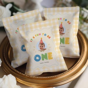 Its Fun To Be One Birthday Bundle, Colorful 1st Birthday Pack, One Is Fun, Hand Drawn Gingham (Instant Download) image 15