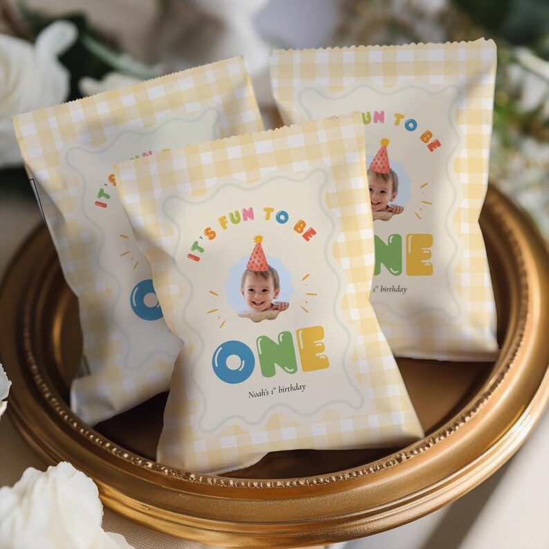 Its Fun To Be One Birthday Bundle, Colorful 1st Birthday Pack, One Is Fun, Hand Drawn Gingham (Instant Download) image 15