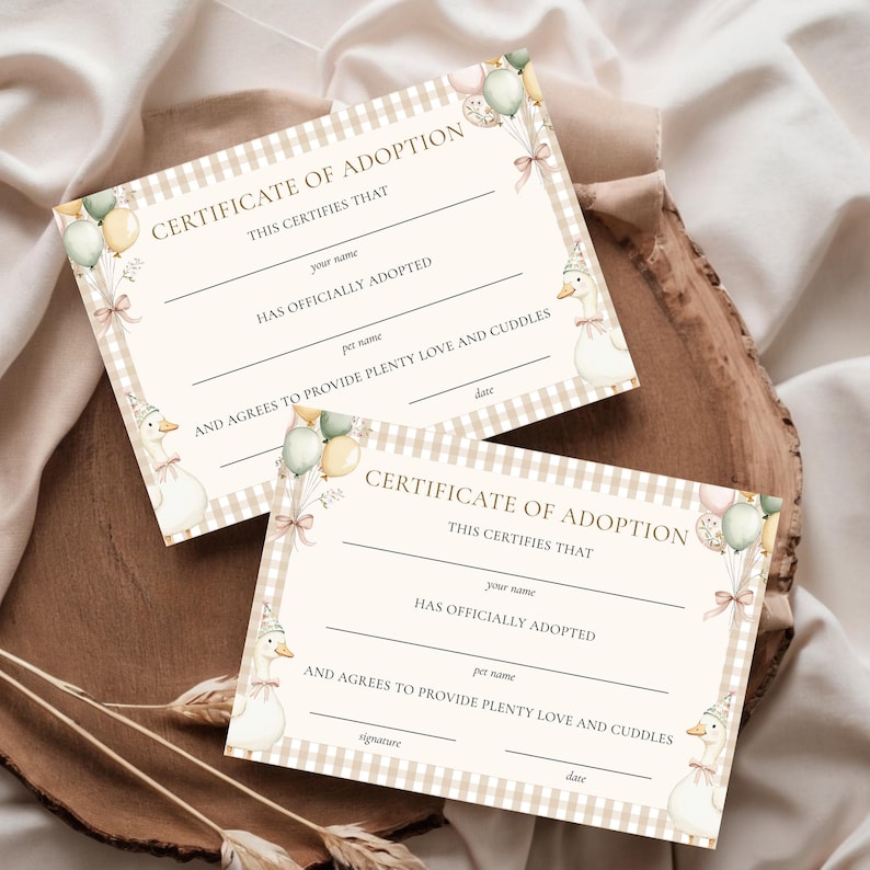 May include: Two adoption certificates with a beige gingham pattern border. The certificates feature text, including "Certificate of Adoption" and spaces to fill in details. Decorative elements include balloons, bows, and a cartoon goose wearing a party hat.