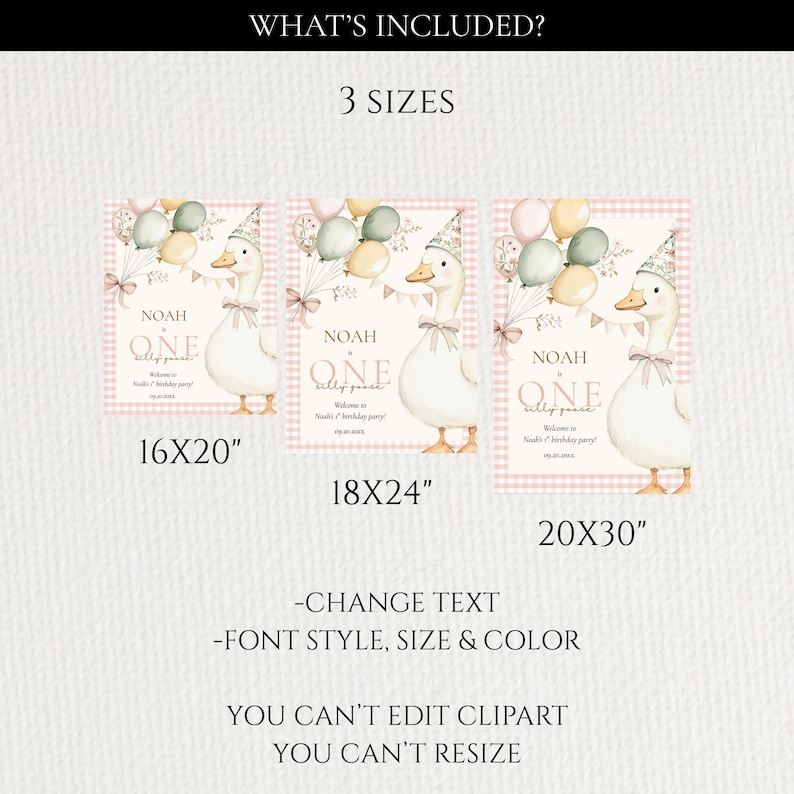 May include: Three sizes of a party invitation featuring a cartoon goose wearing a party hat and bow tie, with balloons and the text "NOAH ONE". Sizes include 16x20 inches, 18x24 inches, and 20x30 inches.