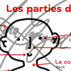 Carteles para el aula de francés