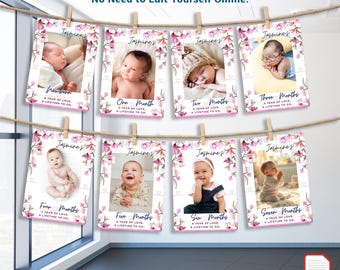 May include: A custom 12-month photo banner with baby photos, each framed with pink floral designs. The banner includes text such as "Newborn," "One Month," and "Seven Months." The banner is suspended by clothespins on a string.