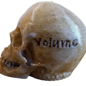 May include: A brown 3D printed skull with the word "Volume" inscribed on the side.