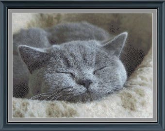 Cross Stitch Design From A Picture of Your Pet Kid-You supply the photo-We Chart it For You!! Complete W/Thread Chart-IMMORTALIZE Your Pet!!