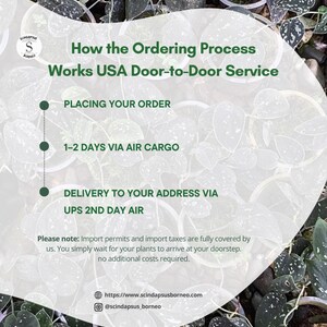 May include: An image with a green and white background, featuring text that reads "How the Ordering Process Works USA Door-to-Door Service." The text describes the process: placing an order, 1-2 days via air cargo, and delivery via UPS 2nd Day Air.