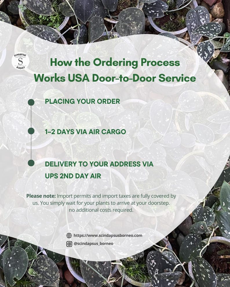 May include: An image with a green and white background, featuring text that reads "How the Ordering Process Works USA Door-to-Door Service." The text describes the process: placing an order, 1-2 days via air cargo, and delivery via UPS 2nd Day Air.
