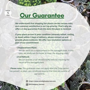 May include: An image featuring the text "Our Guarantee" over a background of green and silver plants. The guarantee covers plant condition within two days of delivery, offering replacement or full refund options. Contact information is provided.