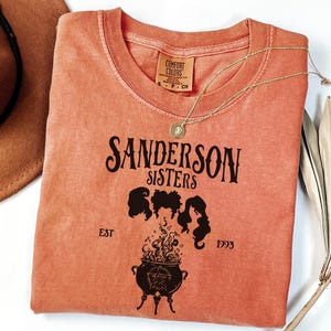 Sanderson Sisters Shirt, Hocus Pocus Shirt, Retro Halloween Tee, Witch Shirt, Spooky Season Shirt, Witchy Vibes Shirt, Halloween Party Tee