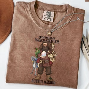 Professor of Magical Creature Shirt, Wizard Shirt, Wizard School Party Tee, Bookish Shirt, Book Lover Sweatshirt, Hagrid Shirt, Hp Fan Gift
