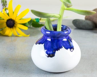 Mini jardinière succulente, jardinières en céramique moderne bleu blanc, pot de cactus, décoration d'intérieur moderne, poterie faite main, idées cadeaux de jardinage