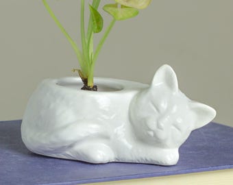 Jardinière White Kitty, jardinière de cactus succulentes en céramique, décoration moderne, jardinière de poterie d'intérieur, cache-pot, cadeau pour amoureux des chats, cadeau de jardinier