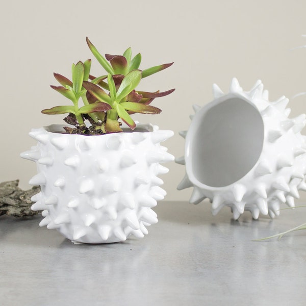 Mini Planter White Spiky Urchin Bowl Ceramic Modern Minimalist Pottery, Handmade Ceramic Succulent Planter, Beach Decor Coastal Air Planter