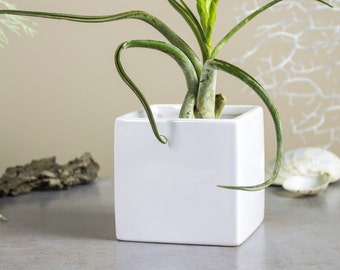 White Square Planter, Cube ceramic vase, Modern Winter s home decor, Succulent, Air plant, cactus pot, Mother's Day gift ideas