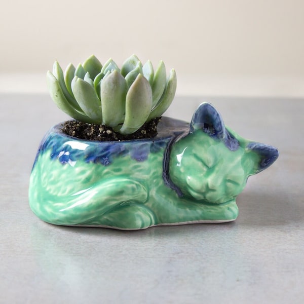 Kitty flower pot, air plant holder, ceramics desk decor, succulent planter, green blue cactus planter , cat lover gift, Mother’s Day gift