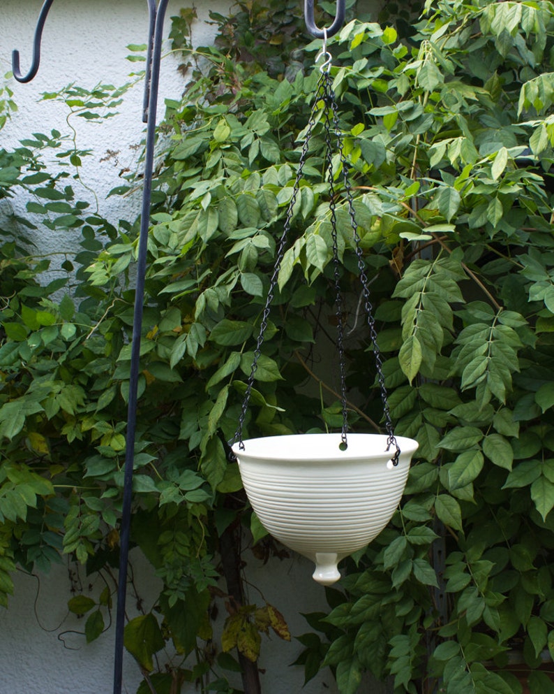 May include: White ceramic hanging planter with a ribbed design. The planter is suspended from a black chain and hangs from a metal hook.