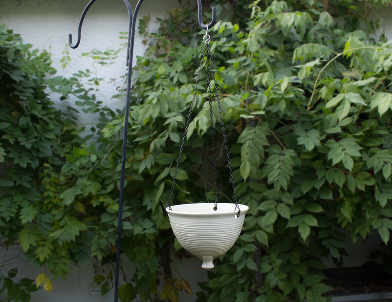 May include: A white ceramic hanging planter with a ribbed design hangs from a black metal chain against a backdrop of green foliage.