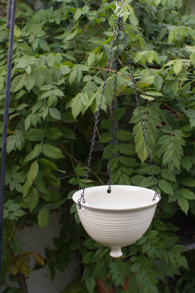 May include: White ceramic hanging planter with a ribbed design and a small knob at the bottom. The planter is suspended from a black chain.